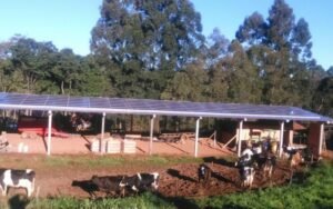 Fazenda leiteira com energia SOLAR